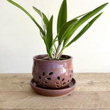 ceramic orchid planter with tray