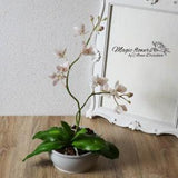 Artificial  lilac phalaenopsis orchid - cold porcelain flower