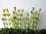 WHOLESALE 20 Flowers 8mm Miniature Carnation Mix Assort Colour Plant Bush F42 #1