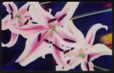 10u Flowers: Rose Lilies (Artwork by Mark Busacca) Phone Card