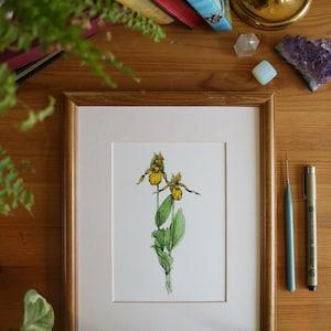 Lady Slipper // 5x7, 8x10, Flower Painting, Wall Decor, Nature Art, Orchid Floral Art, Illustration, Prairie Wildflower, Wildflower Painting