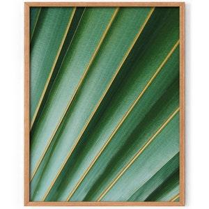 Botanical Print, Leaf Wall Art Print, Tropical Plant Photo, Green Leaves Photography, Palm Leaf. Bring the nature indoor. Explore more.