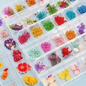 Dried Flower 1 Box Dry Plants Nail Art Decors for Resin Molds Filling Flowers