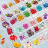 Dried Flower 1 Box Dry Plants Nail Art Decors for Resin Molds Filling Flowers