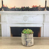 mini planter, laundry decor basket, orchid holder, cute plant pot, kids room basket, handcrafted basket, wool planter, window decor, PH 1639
