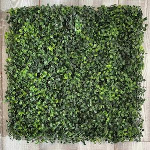 Boxwood Wall Panels - Original