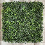 Boxwood Wall Panels - Original