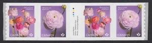 GUTTER strip of 4 stamps = RANUNCULUS - PERSIAN BUTTERCUP = Canada 2023 MNH