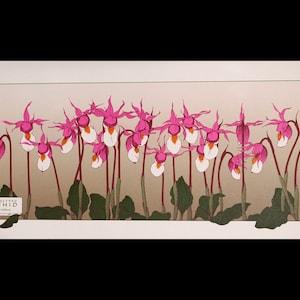 Wild Calypso Orchid