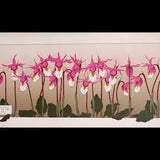 Wild Calypso Orchid