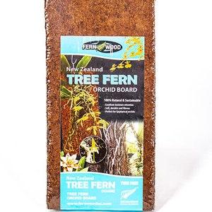 Fernwood (2) 12" x 6" x .5" New Zealand Fern Wood Tree Fern Fiber Plaque Background