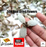 50X Real Dried Flowers For DIY Art Craft Epoxy Resin Pendant Jewelry Making
