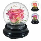 Flower Rose Preserved In Glass Mothers Day Birthday Gift Womens Girls Home Decor