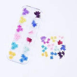 36PCS Real Pressed Dry Mixed Cornflower cherry leaves collection FCD504 #8