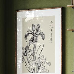 Orchid Wall Art Printable, Botanical Vintage Floral, Black & Beige Art Print, Fleur Wildflower Printable, Luxe Decor Neutral Color