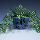 Orchid Planter Cobalt