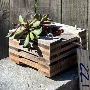 221. Salvaged Sapele and Black Walnut Wood Hanging Basket Planter for Orchids, Bromeliads, Ferns, Cacti, Other Epiphytes and Succulents