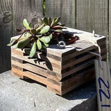221. Salvaged Sapele and Black Walnut Wood Hanging Basket Planter for Orchids, Bromeliads, Ferns, Cacti, Other Epiphytes and Succulents
