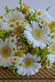 Summer bridesmaids bouquet, white Germini, mini Gerbera, Daisy, Solidago, Craspedia balls, English sea side wedding. Flower Delivery