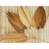 Dried Flower Natural Pu Fan Leaf For DIY Home Shop Display Decoration 1pc