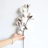 10 Heads Naturally Dried Artificial Cotton Flower with Long Stem for Home Weddin