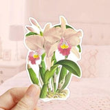 Orchid Flower Sticker, Cattleya Trianae Sticker, Die Cut Sticker, Water Bottler Sticker, Laptop Decal, Tropical Flowers Decal
