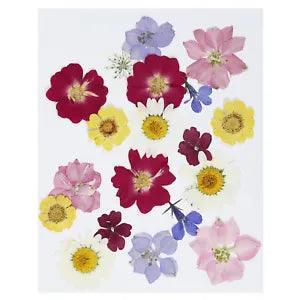 Dried Pressed Flowers Natural Dried Flower Real Pressed Flowers
