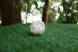 50 Peony with pollen 5 cm Diffuser Flowers Sola Wholesale Bouquet Artificial