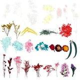 Colorful Dried Flowers for Resin Crafts - 3 Pack