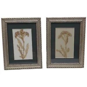 Pair Framed Pressed Dried Flowers Dark Green Matted Framed Pictures Home Decor