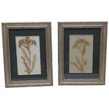 Pair Framed Pressed Dried Flowers Dark Green Matted Framed Pictures Home Decor