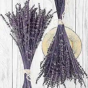 Dried Preserved Lavender Flowers Bundle-Natural Dried Lavender Bouquet 180-200