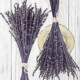 Dried Preserved Lavender Flowers Bundle-Natural Dried Lavender Bouquet 180-200