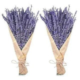 Dried Lavender Bundles Uieke Natural Dried?Lavender?Flowers 280-300 Stems 16???...
