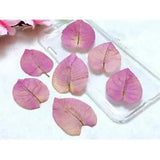 Pressed Dried Flower Plum Blossom Flower For Resin Pendant Jewellery Making...
