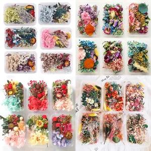 1Box Mixed Dried Flower Photo Frame Candle Floral Epoxy Filling Art Craft Making