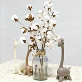 10 Heads Natural Dried Cotton Flower Cotton Stem Floral Branch Artificial Plants