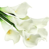 FiveSeasonStuff 6 Long Stems Real Touch Artificial Flowers White Calla Lily Bouquet, Home Wedding Party D¡§?cor DIY 25.2???? (64cm)