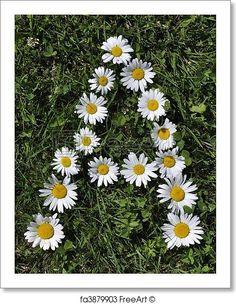 Free art print of Letter of daisies Flower Delivery