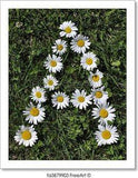 Free art print of Letter of daisies Flower Delivery