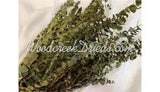 PRESERVED DYED WASHED BASIL EUCALYPTUS FLORAL FOLIAGE FILLER FLOWER SCENTED