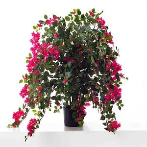 Large Flowering Fuchsia Bougainvillea Bush Faux Floor Plant in Weighted Black Pot