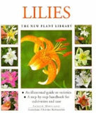 Lilies by Andrew Mikolajski: New