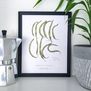 Homegrown Green Beans Botanical Art print, by Kristen Johns, 8x10 inches, kitchen art for the plant loving home