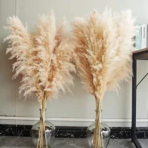 40" inch 10 Stems Natural Pampas Grass Decor Tall, 40inch tall pampas grass-A