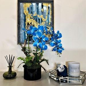 FANTASM PARIS - Blue orchid in glass pot - Orchids Plant Arrangement Artificial - Real touch Faux orchid and Moss floral display - Gift -