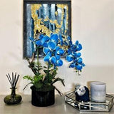FANTASM PARIS - Blue orchid in glass pot - Orchids Plant Arrangement Artificial - Real touch Faux orchid and Moss floral display - Gift -