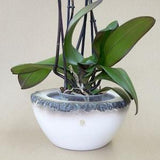 Ikebana Vase / Large Ceramic Bowl / Unique Orchid Pot / Plant Pot / Handmade Planter / Wabi Sabi / Ceramic Vase