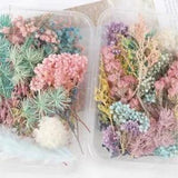 Real Pressed Flower Leaf Dried Daisy Flower Resin Flower Dry Beauty Nail Art