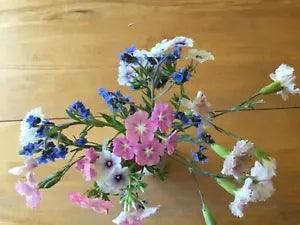 Cutting Flowers Bouquet Mix Seeds